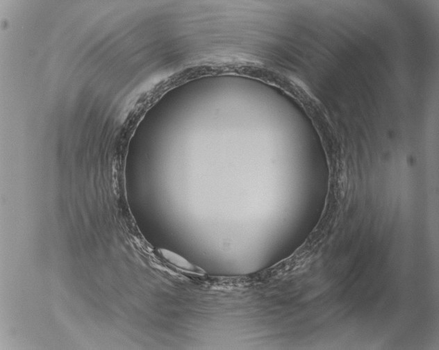 X0000053051016200508011842