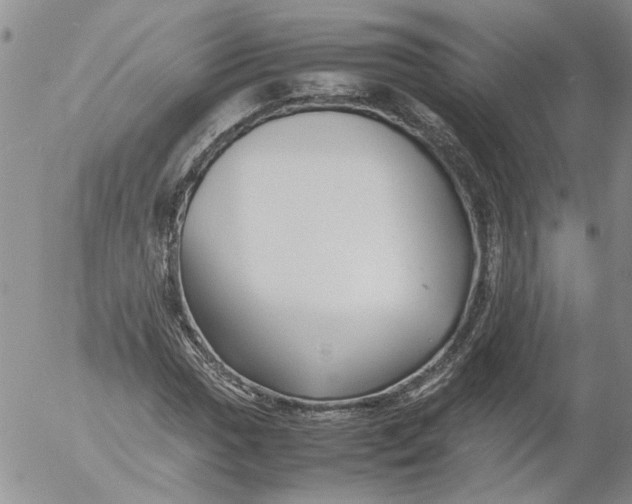 X0000053051017200508011842