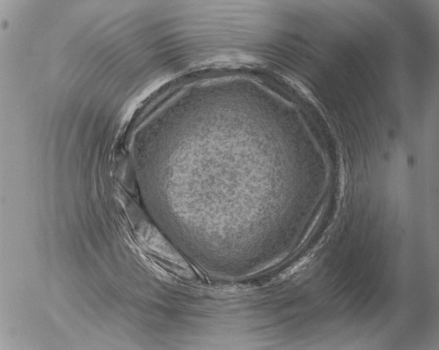 X0000053051018200508011842