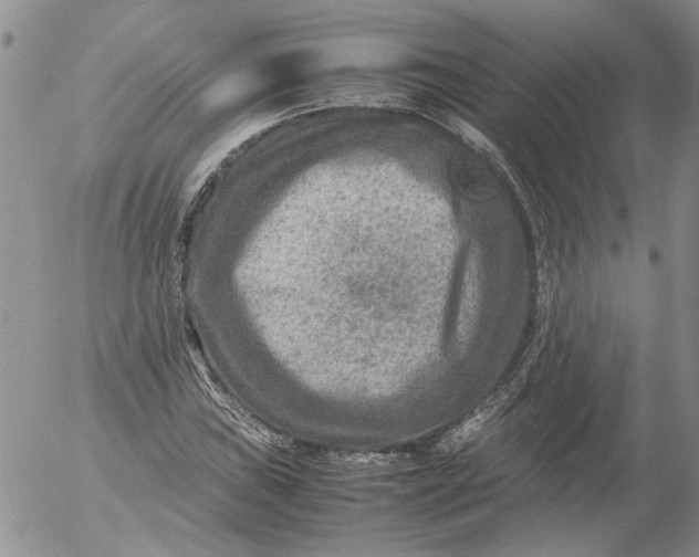 X0000053051019200508011842