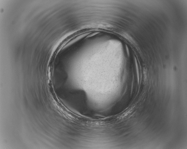 X0000053051020200508011842