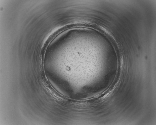 X0000053051021200508011842