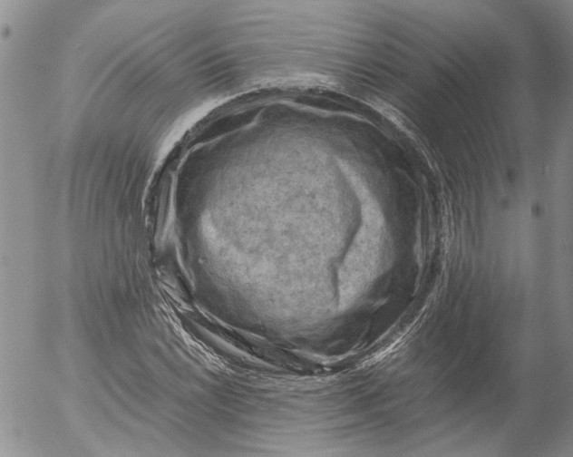 X0000053051022200508011842