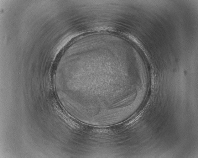 X0000053051023200508011842