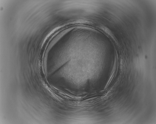 X0000053051024200508011842