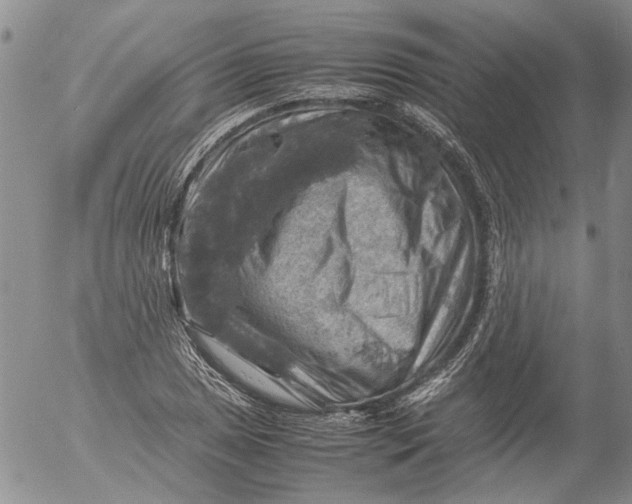 X0000053051025200508011842