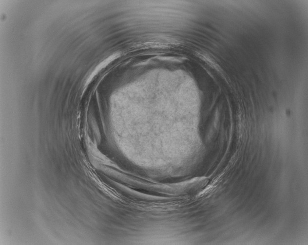 X0000053051026200508011842