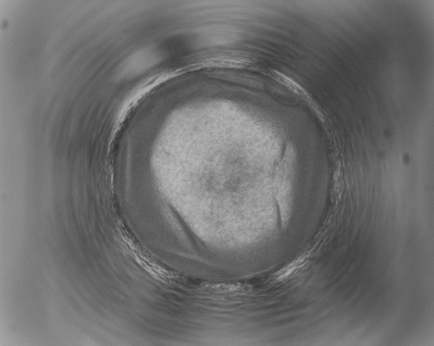 X0000053051027200508011842