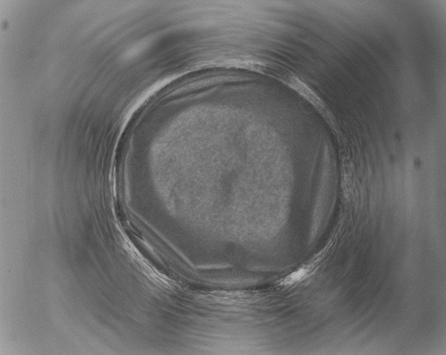 X0000053051028200508011842