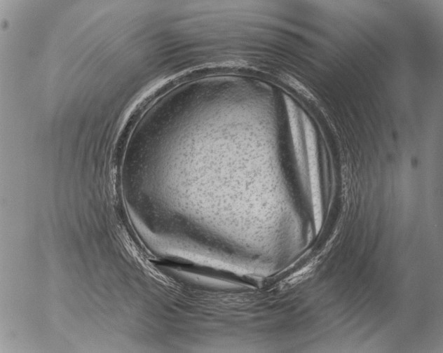 X0000053051029200508011842