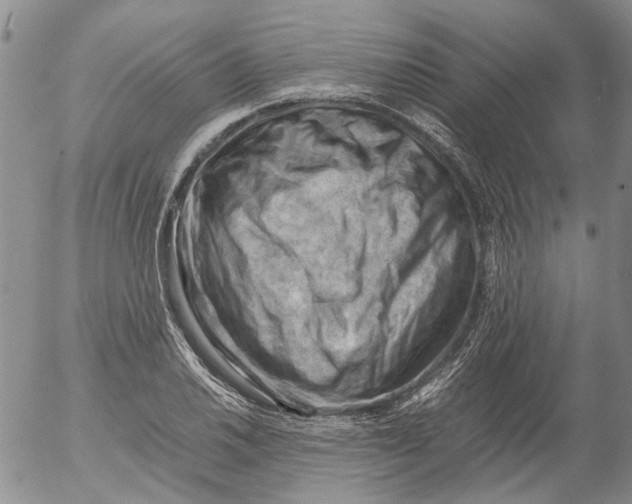 X0000053051030200508011842