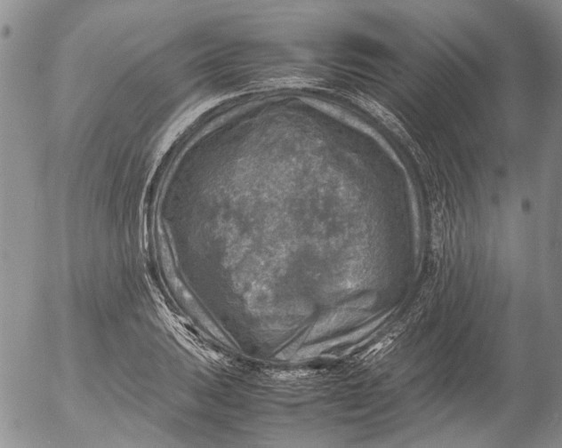 X0000053051031200508011842