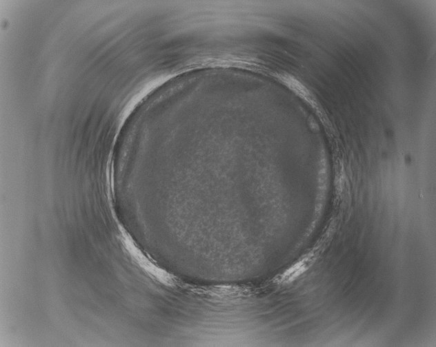 X0000053051032200508011842