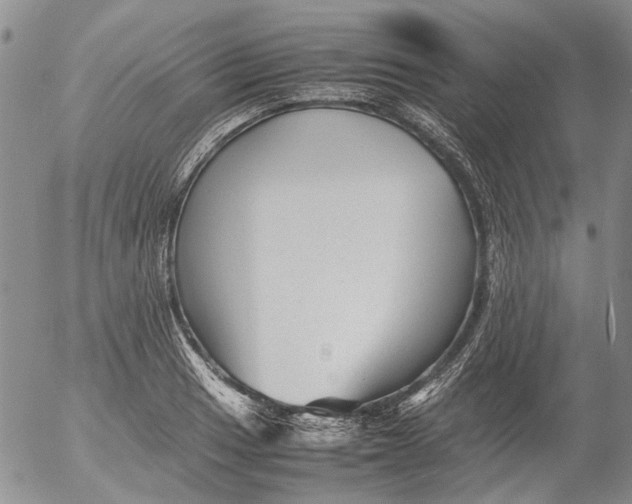 X0000053051033200508011842