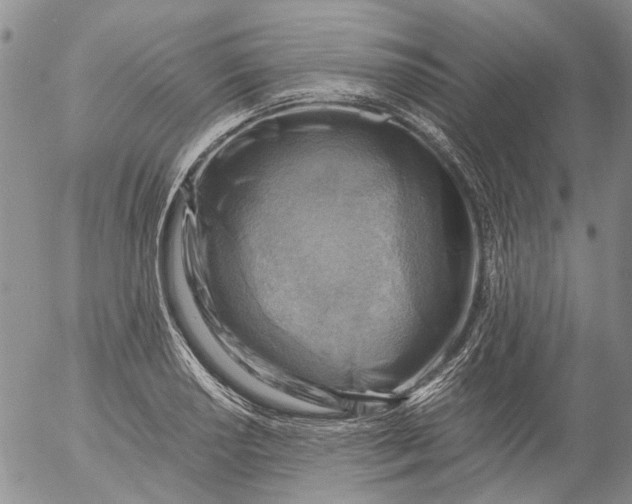 X0000053051034200508011842