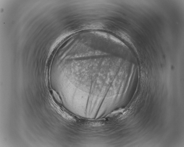 X0000053051035200508011842