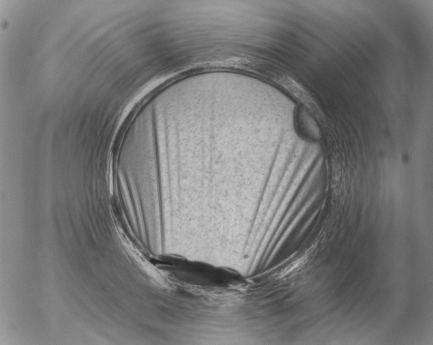 X0000053051036200508011842