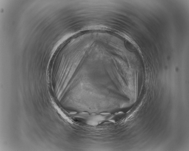 X0000053051037200508011842