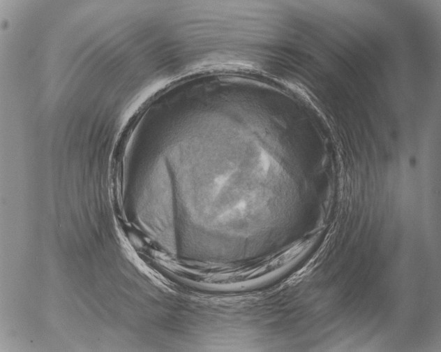 X0000053051038200508011842