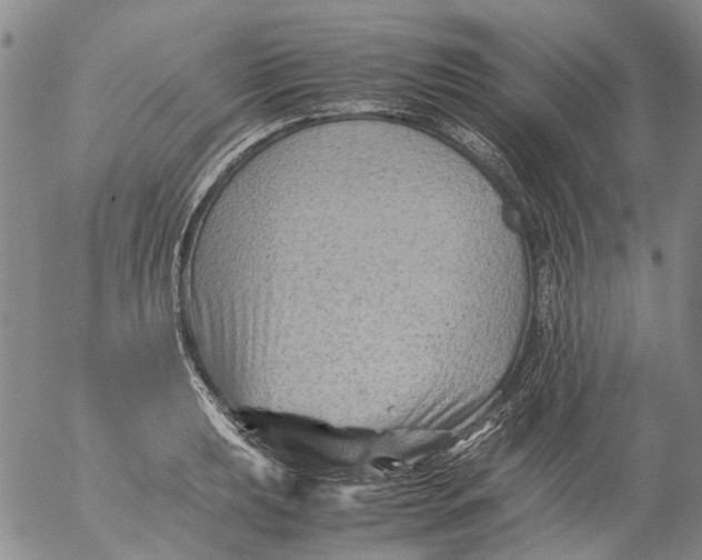 X0000053051039200508011842