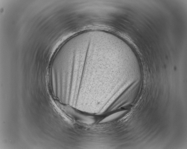 X0000053051040200508011842