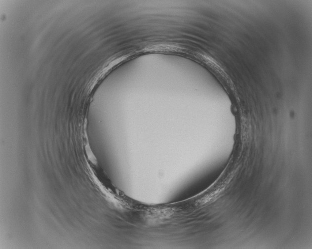 X0000053051041200508011843