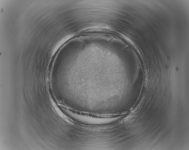 X0000053051042200508011843