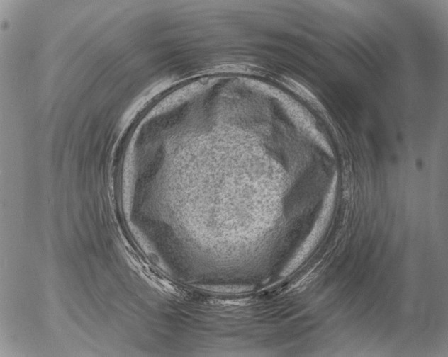 X0000053051043200508011843