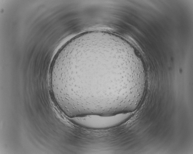 X0000053051044200508011843