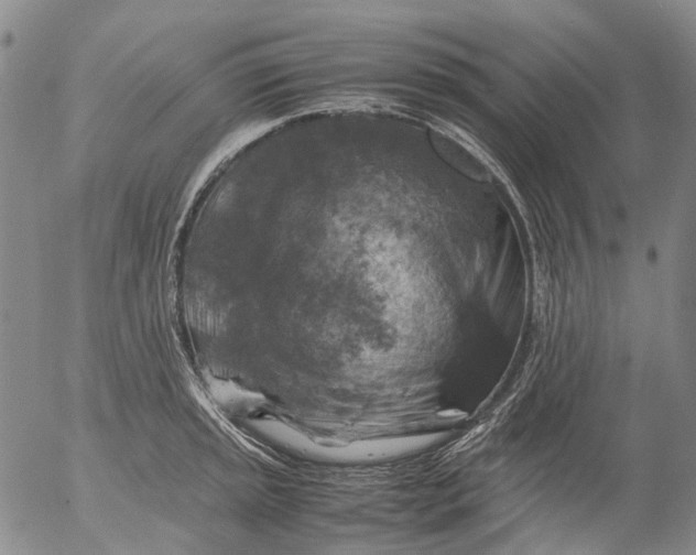 X0000053051045200508011843