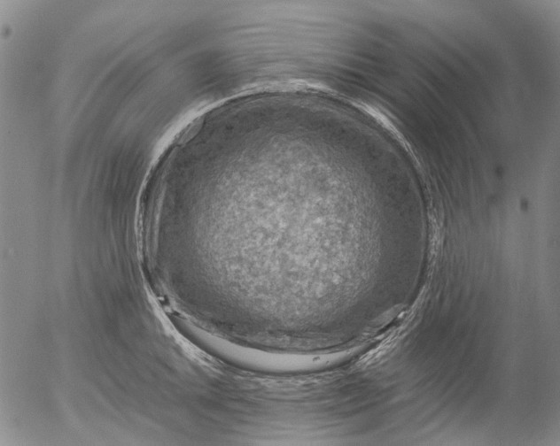 X0000053051046200508011843