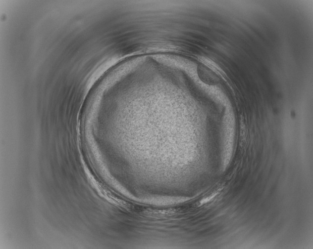 X0000053051047200508011843