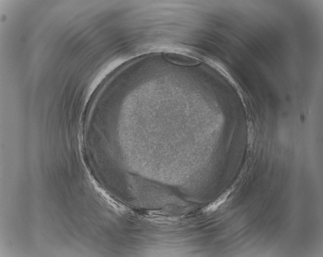 X0000053051048200508011843