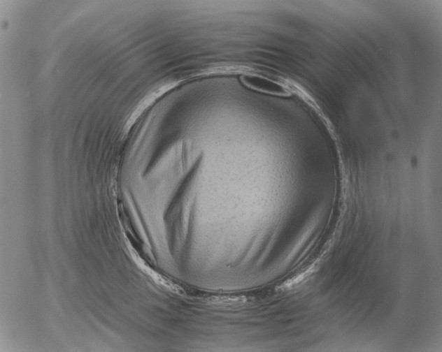 X0000053051049200508011843