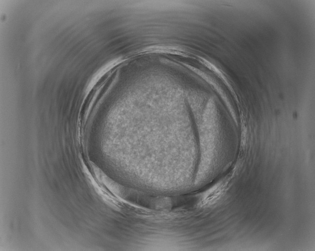 X0000053051050200508011843