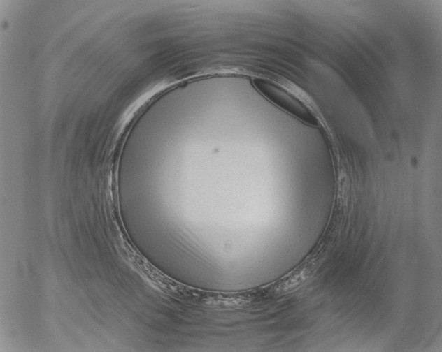 X0000053051051200508011843