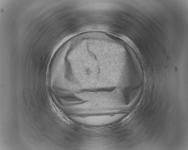 X0000053051052200508011843