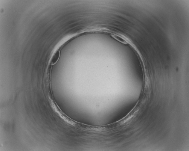 X0000053051053200508011843