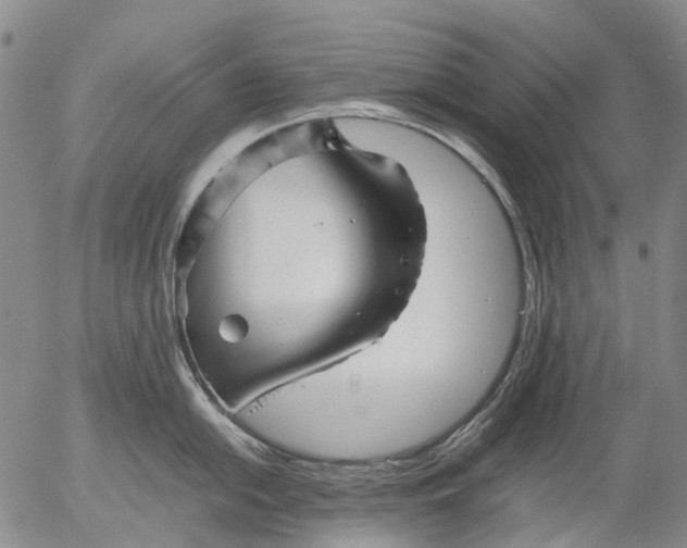 X0000053051054200508011843