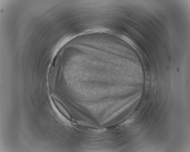 X0000053051055200508011843