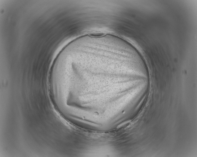 X0000053051056200508011843