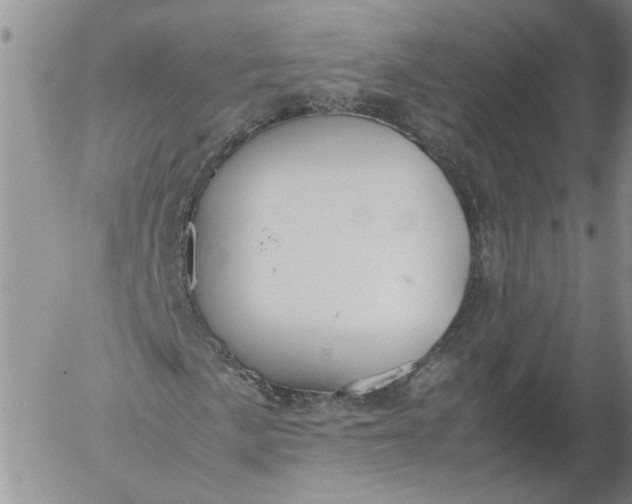 X0000053051057200508011842