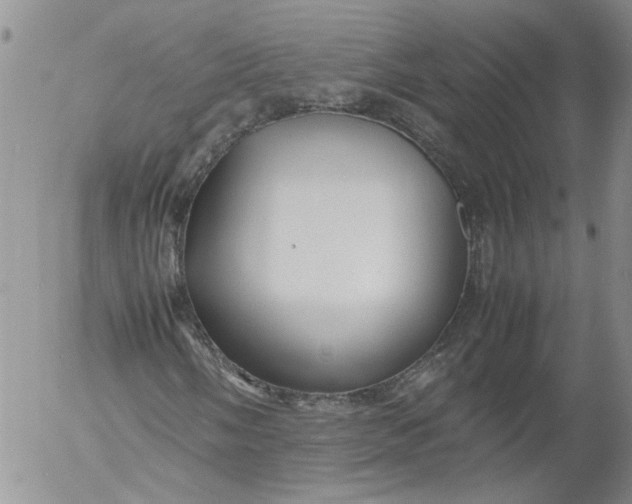 X0000053051058200508011842