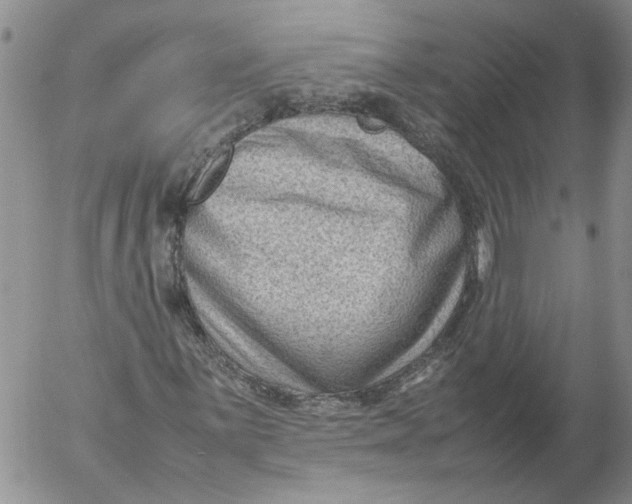 X0000053051059200508011842