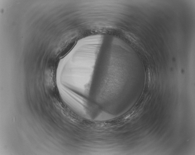 X0000053051060200508011842