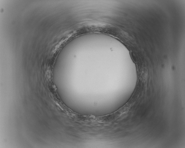 X0000053051061200508011842