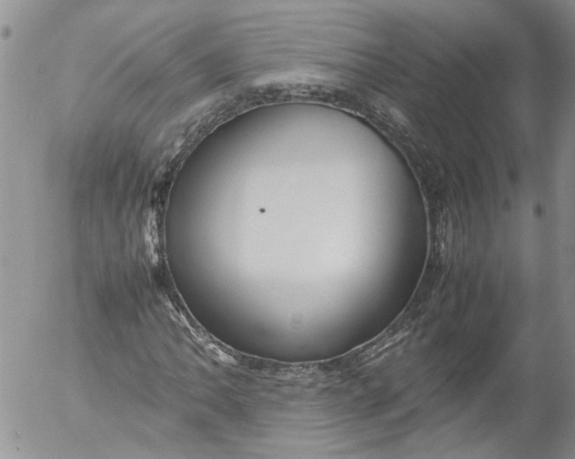 X0000053051062200508011842