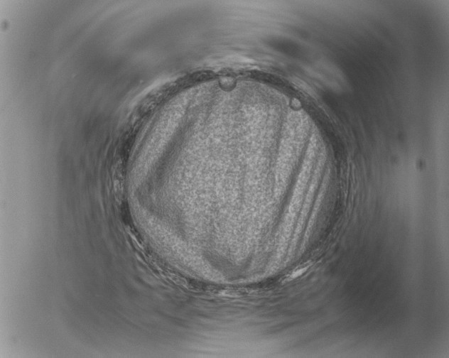 X0000053051063200508011842