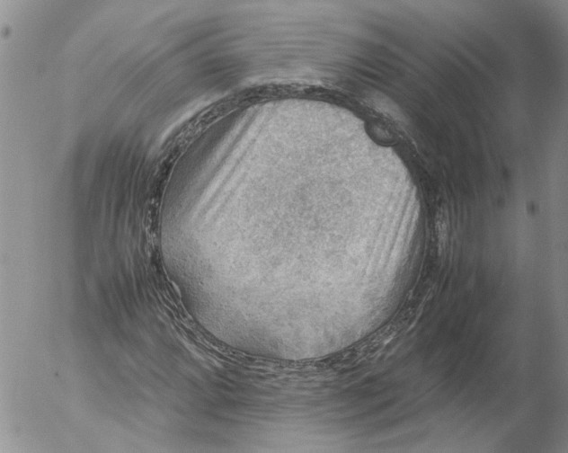 X0000053051064200508011842