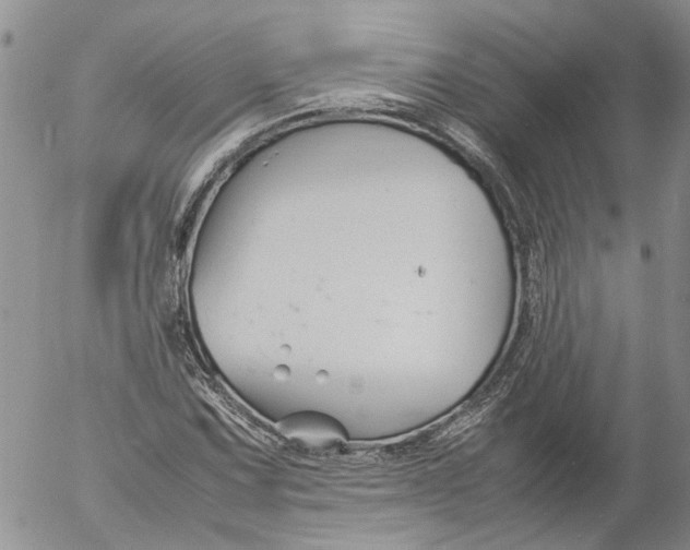 X0000053051067200508011842